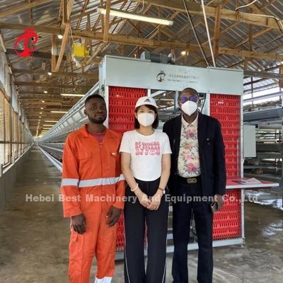 110kg Capacity Poultry Layer Cage with Automatic Nipple Drinkers for Poultry Houses Doris