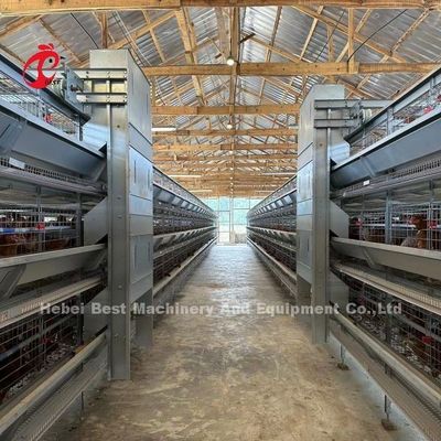 110kg Capacity Poultry Layer Cage with Automatic Nipple Drinkers for Poultry Houses Doris