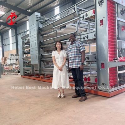 6 Tiers Chicken Cage Broiler Poultry Equipment for Optimal Space Utilization and Automation Doris