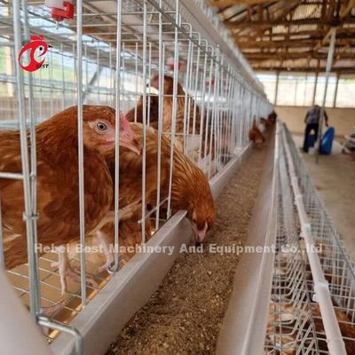 China Factory Battery Layer Cage 5 tier With Poultry Equipment For Africa Market Sandy