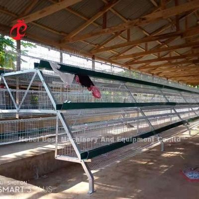 Hot Dipped Galvanized Layer Battery Cage System For Poultry Farm Q235 Steel Emily