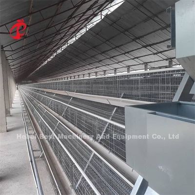 2022 Hot Sale Battery Poultry Layer Cage , coated A Frame Layer Cages 25 years Emily
