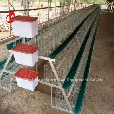 Nigeria Warehouse Premium And Deluxe Poultry Battery Cage System For Layer Chickens Sandy