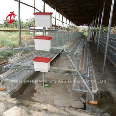 China Imported Coated Chicken Battery Cage ISO9001 , Layer Chicken Cage System 4 Door Sandy