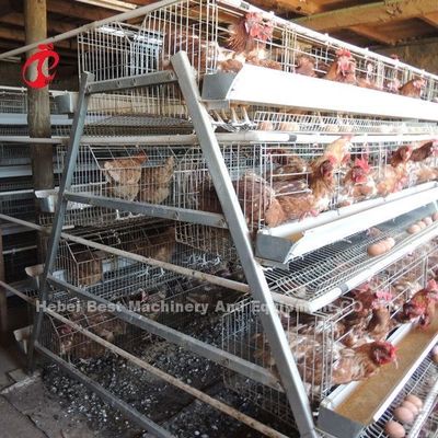 Wholesale Factory Price Q235 Poultry Layer Cage , Battery Cage System 256 Birds Star