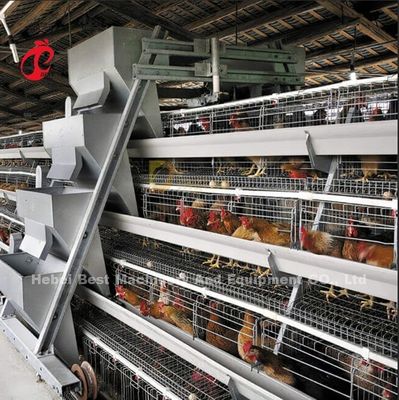 A Type Automatic Poultry Farming Cage System For Layers Star