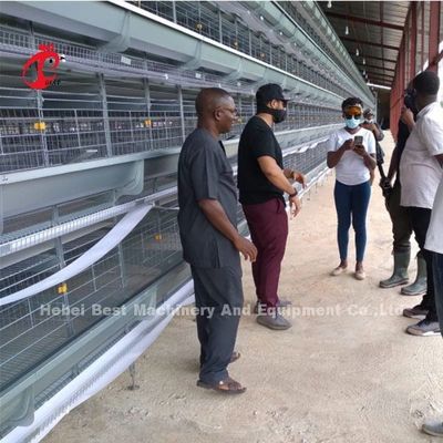 Layer Cage Automatic Poultry Farming Cage System Popular High Quality Egg Layer Cages Rose