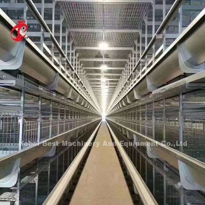 A Type Layer Chicken Battery Cage Full Automatic For Large Farm Adela