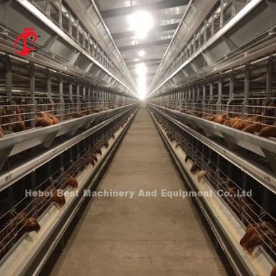 A Type Layer Chicken Battery Cage Full Automatic For Large Farm Adela