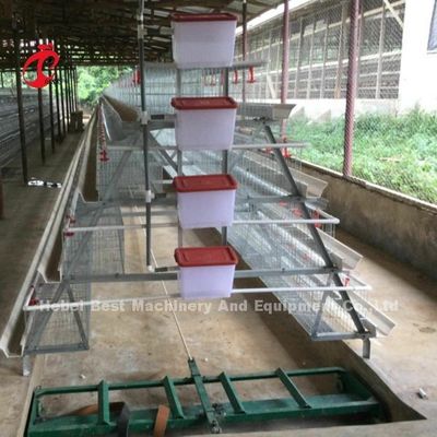Automatic Layer Battery Cage System Commercial Layer Chicken Cage 3 Tiers Hot Sale Rose