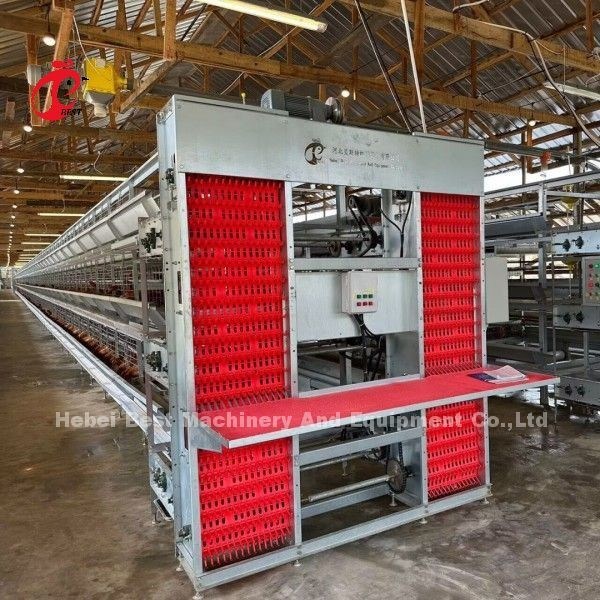 A Type And H Type Automatic Drinking System For Layers Poultry Layer Cage Adela