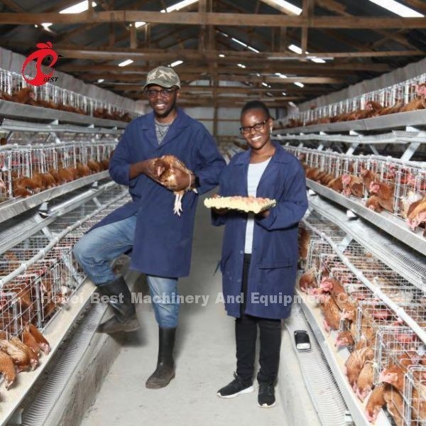 110kg Capacity Chicken Cage for Raising Chicken at 432cm2 A or H Type Doris