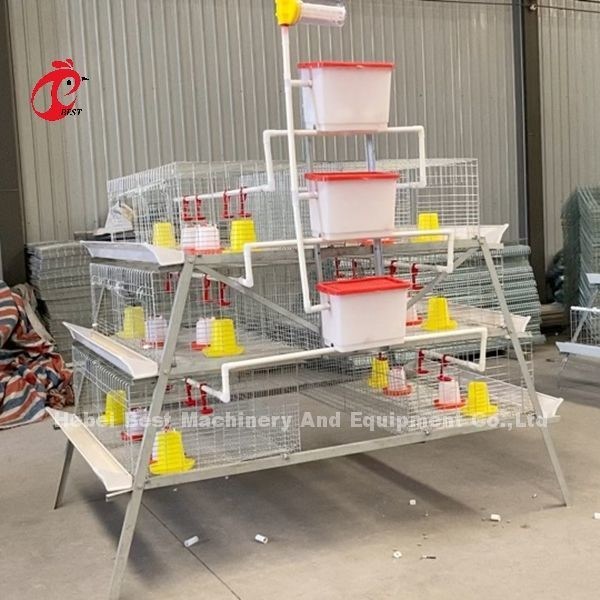 A Type Broiler Battery Cage Galvanized High Strength Poultry Broiler Cage Iris