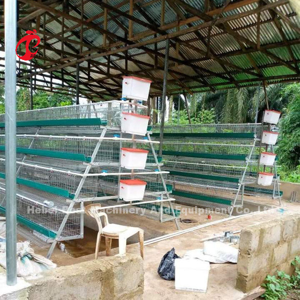 Nigeria Warehouse Premium And Deluxe Poultry Battery Cage System For Layer Chickens Sandy
