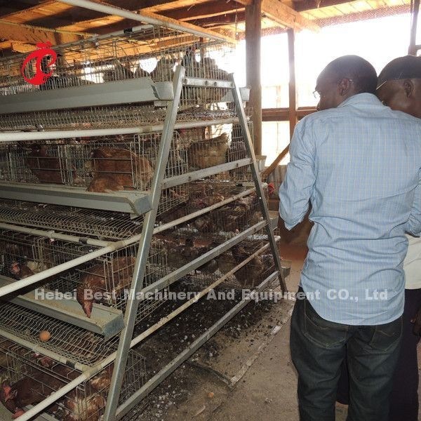 Wholesale Factory Price Q235 Poultry Layer Cage , Battery Cage System 256 Birds Star