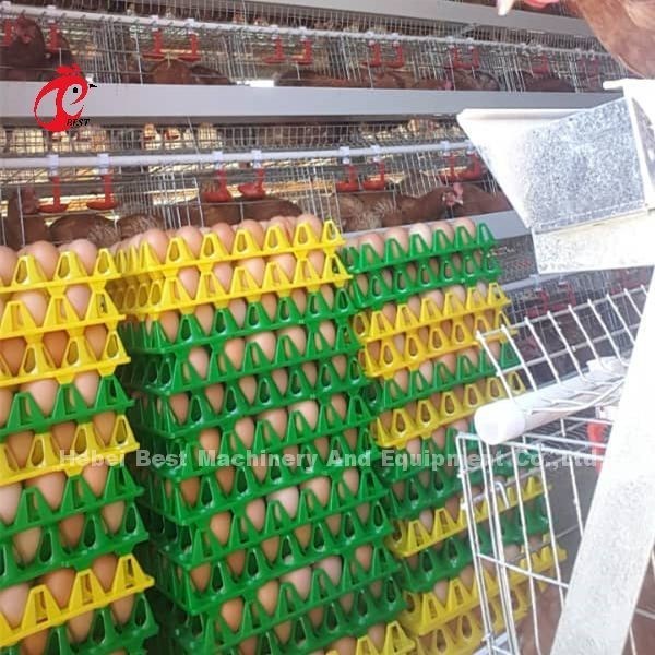 Layer Cage Automatic Poultry Farming Cage System Popular High Quality Egg Layer Cages Rose